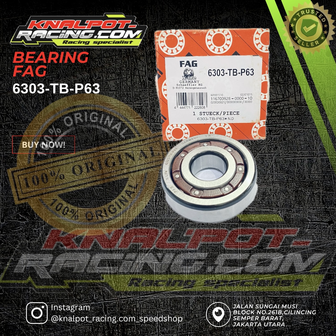 BEARING FAG 6303-TB-P63
